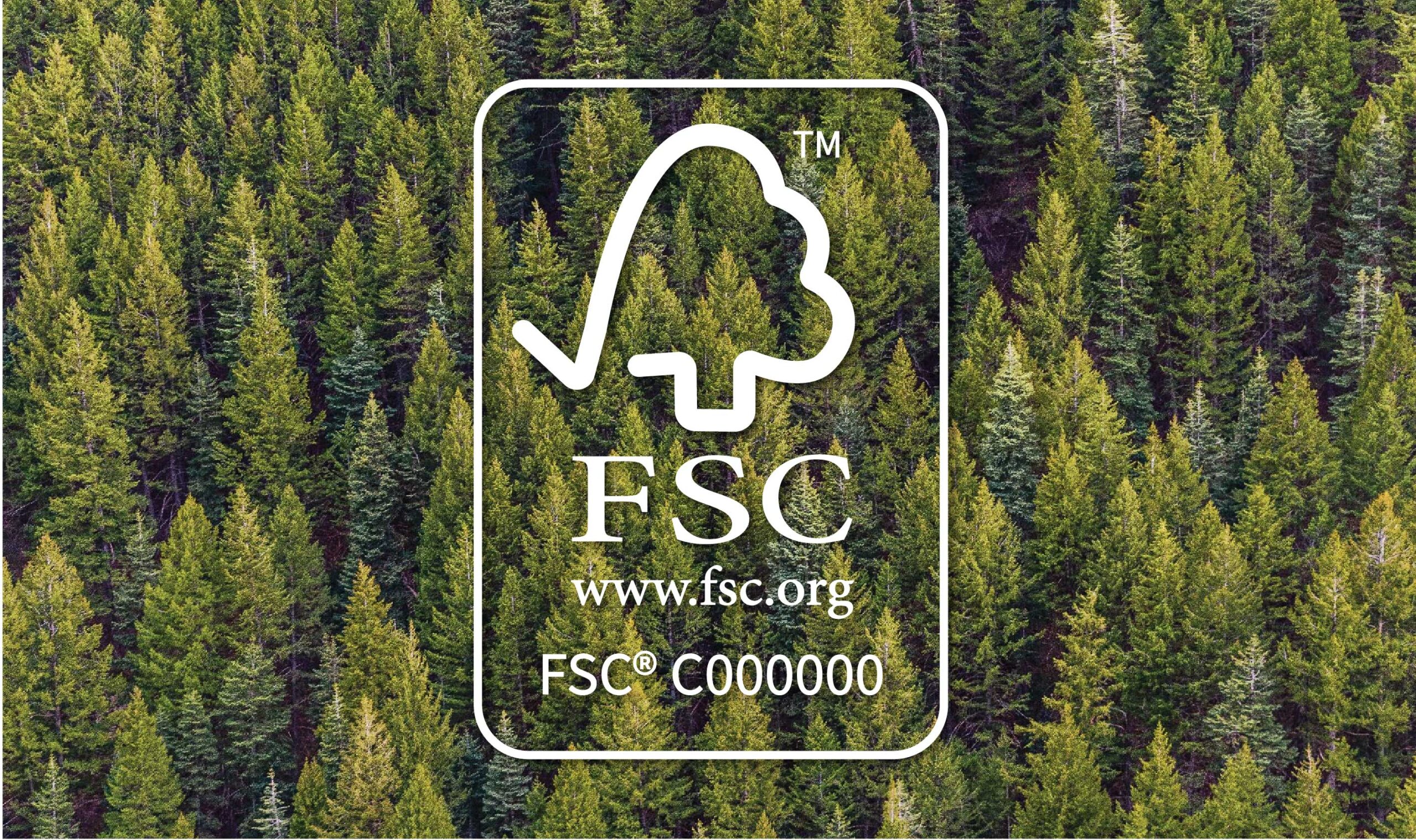 vecteezy_fsc-forest-stewardship-council-logo-recycling-eco-stock_10886271 [Converted]